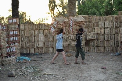 Two children stacking cages in columns