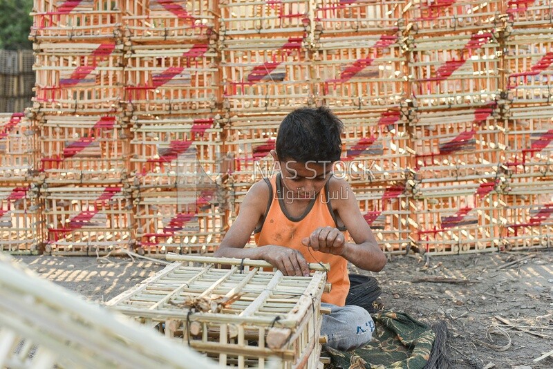 Egyptian child learning to make cages