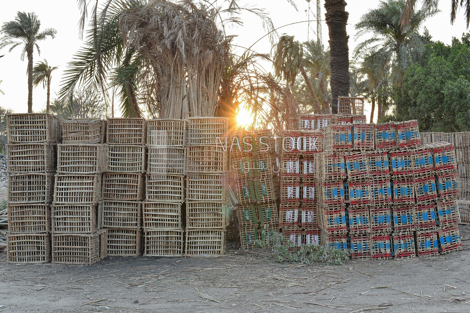 Group of stacked cages made of wicker