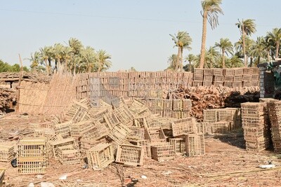 Group of cages