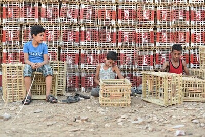 Group of Egyptian children working in the craft of making cages
