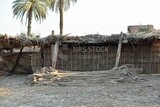 Cages made of wicker