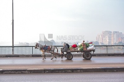 Egyptian rural man riding a horse-drawn cart