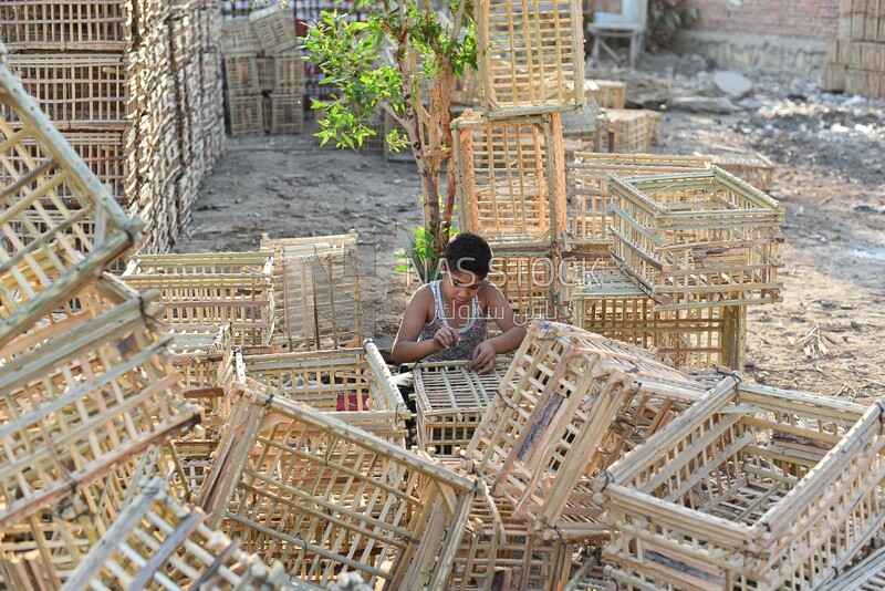 Egyptian child working in shaping wickerwork