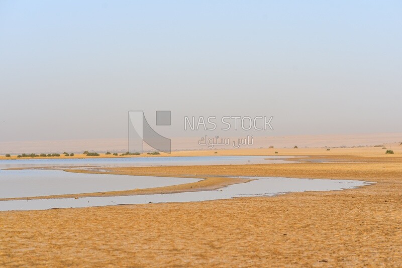 صورة بحيرة قارون فى الفيوم بمصر