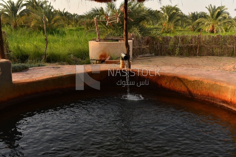 Water well in Egypt