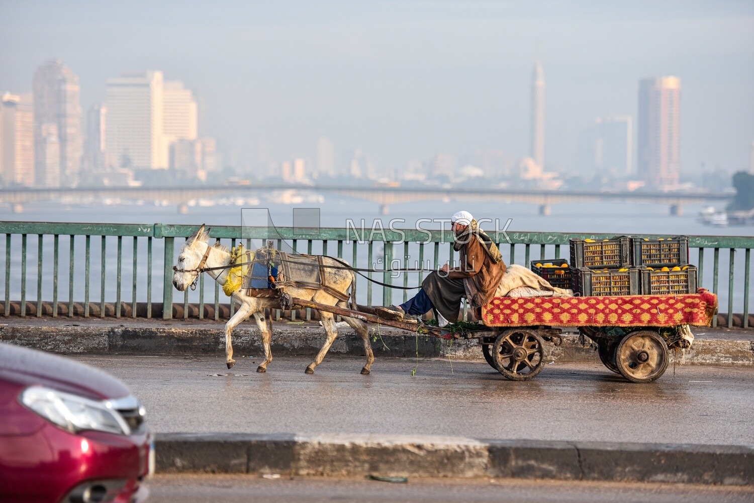 Cart pulled by a donkey