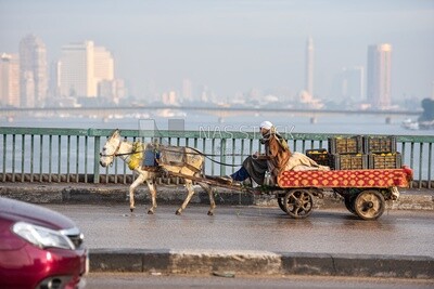 Cart pulled by a donkey