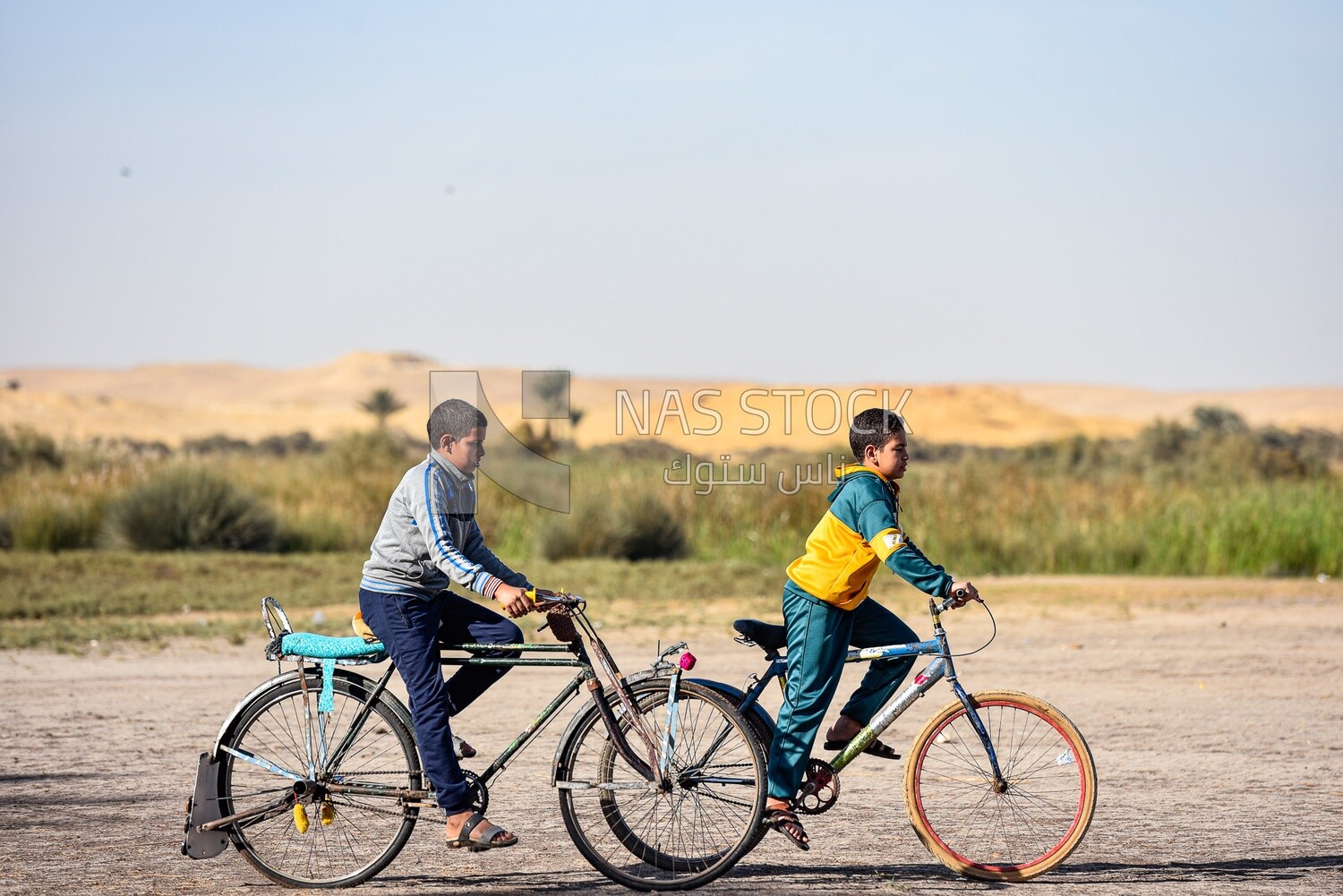 Bicycle race