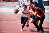 Close up photo of girls playing volleyball, sports, playing, team