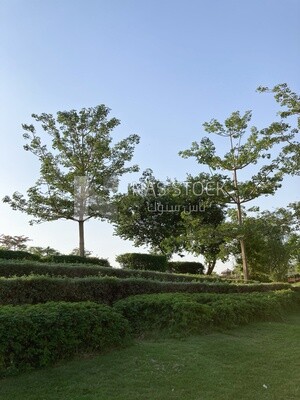 Landscape view of the sky with trees and plants in Al-Azhar Park