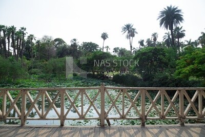 A wooden bridge in Orman Park overlooking the lake, trees and green scenery
