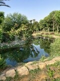 Landscape of a lake surrounded by trees and plants in Al-Azhar Park