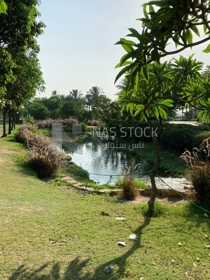 Landscape of a lake surrounded by trees and palm trees in Al-Azhar Park