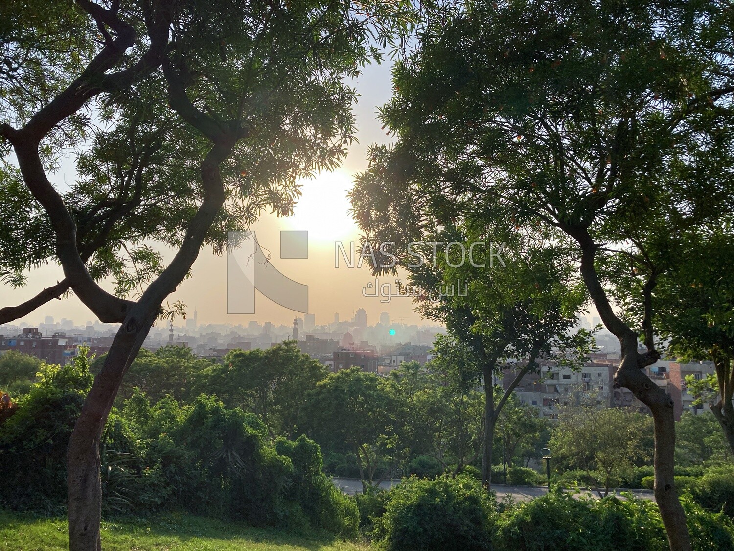 A stunning view of trees and sunlight in Al-Azhar Park