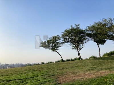 Landscape view of the sky with trees and plants in Al-Azhar Park