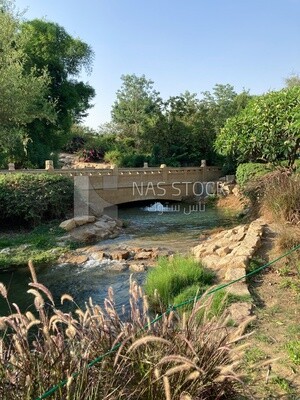 A scene of a bridge passing through trees and plants in  Al-Azhar Park