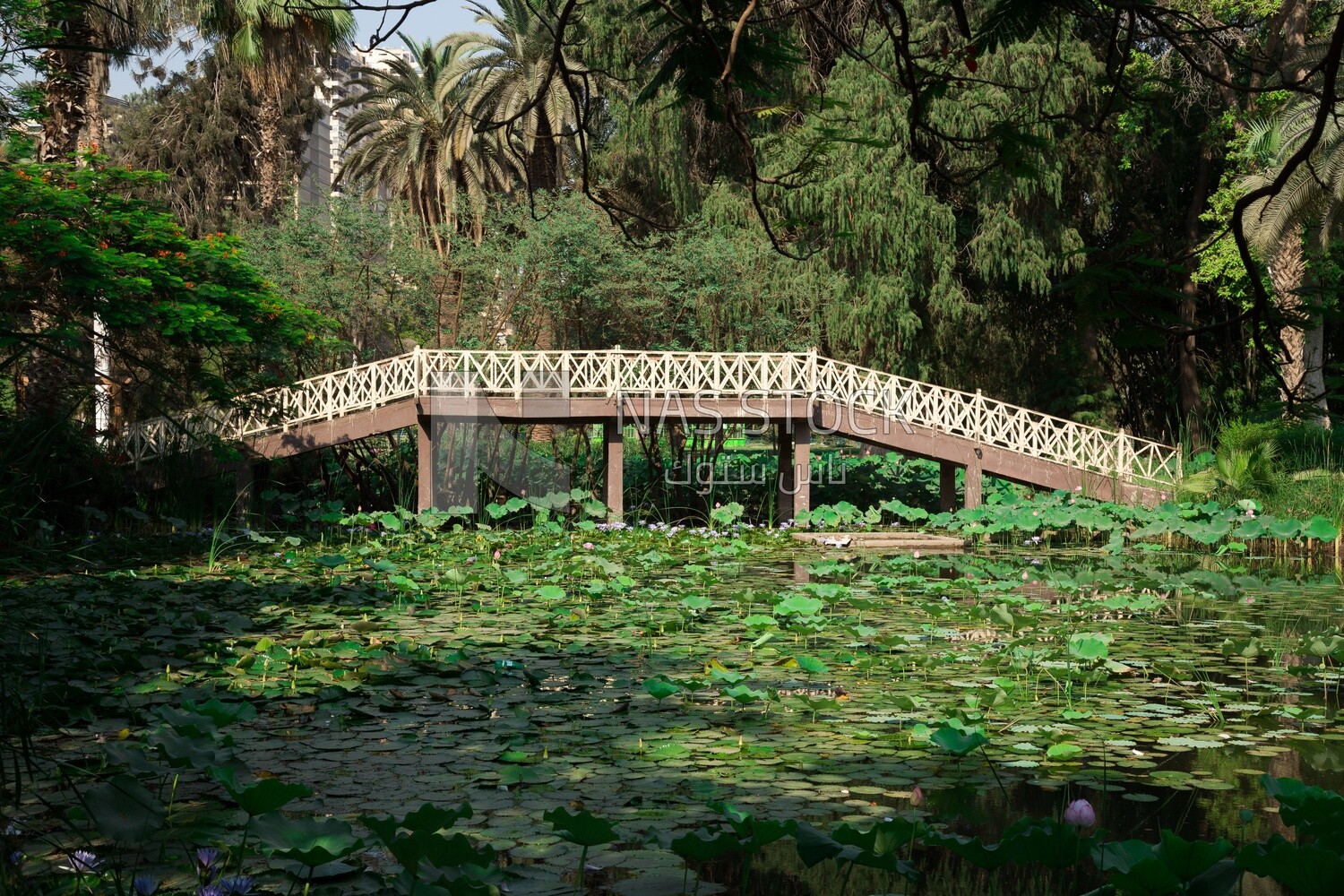 Pedestrian bridge in the Orman Park, Cairo, Egypt