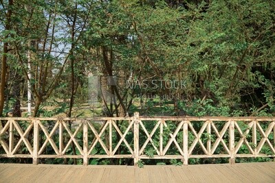A wooden bridge in Orman Park amid green landscapes and trees