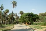 Landscape from the Orman Garden, Cairo, Egypt