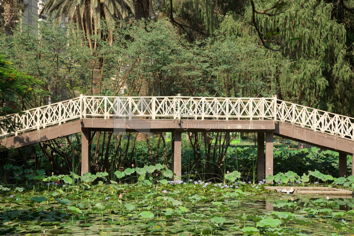 Pedestrian bridge in the Orman Park, Cairo, Egypt