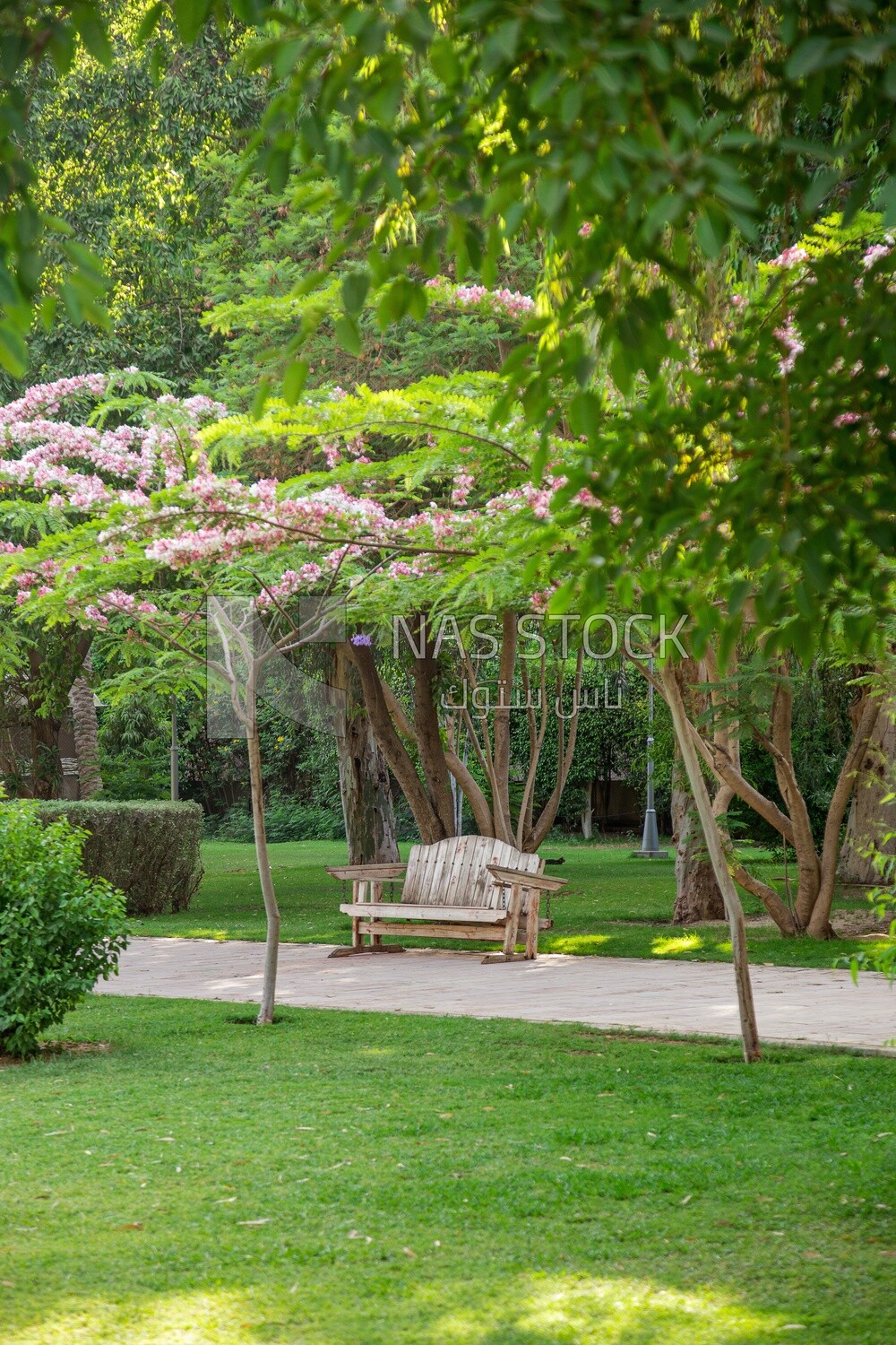 Bench in a large garden