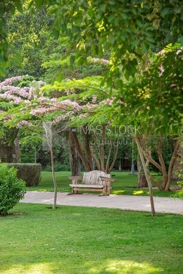 Bench in a large garden