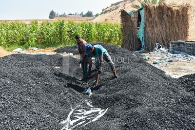 Workers working in the coal industry