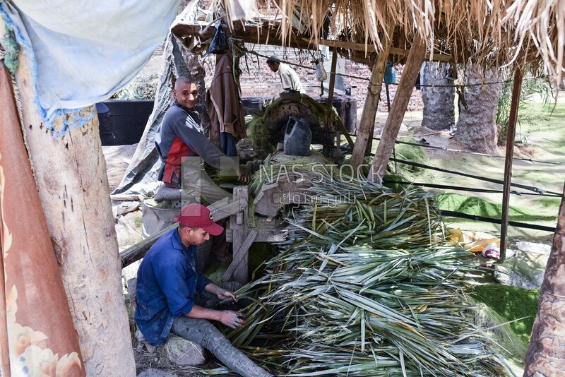 Egyptian craftsmen making palm fronds