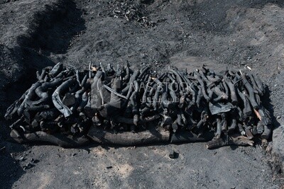Group of burnt wood prepared and converted into charcoal