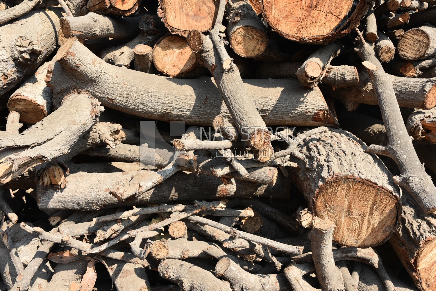 Group of thick wood