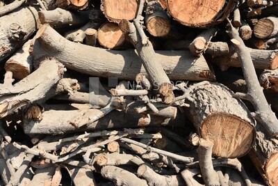 Group of thick wood