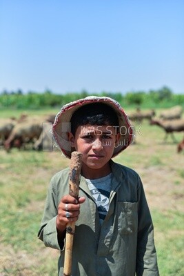 Scene of a young village boy