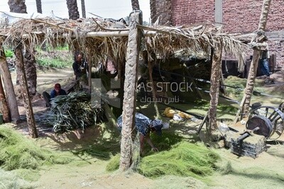 A scene of a group of craftsmen processing and making palm fronds