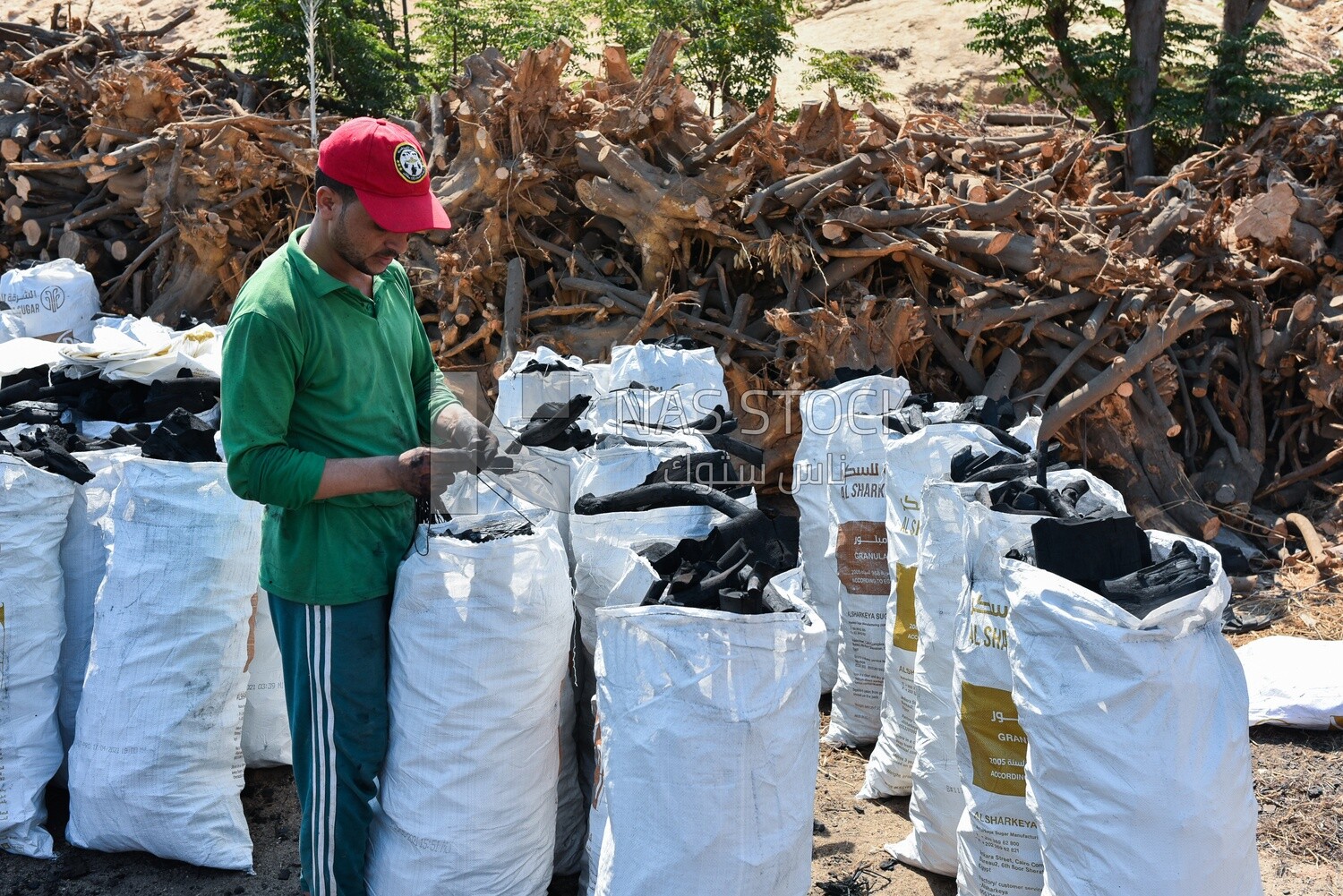 Charcoal filling phase, a group of charcoal bags