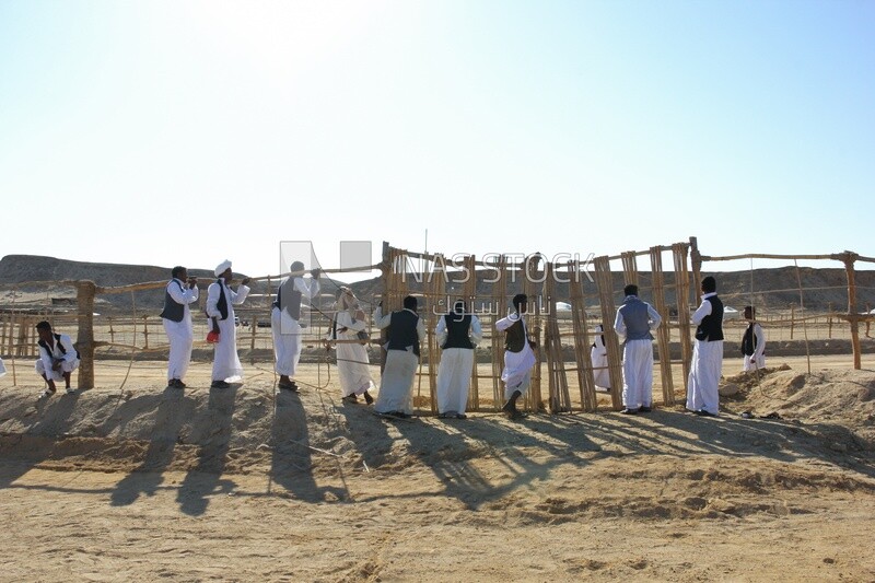 Bedouin men watch a camel contest in the desert