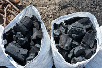 Charcoal bags equipped for shipment and distribution