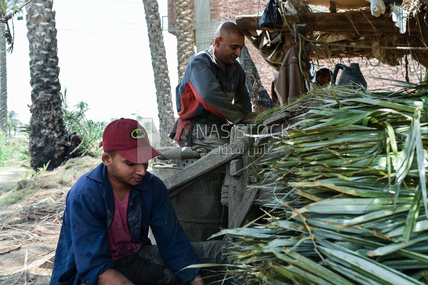 Egyptian craftsmen making palm fronds
