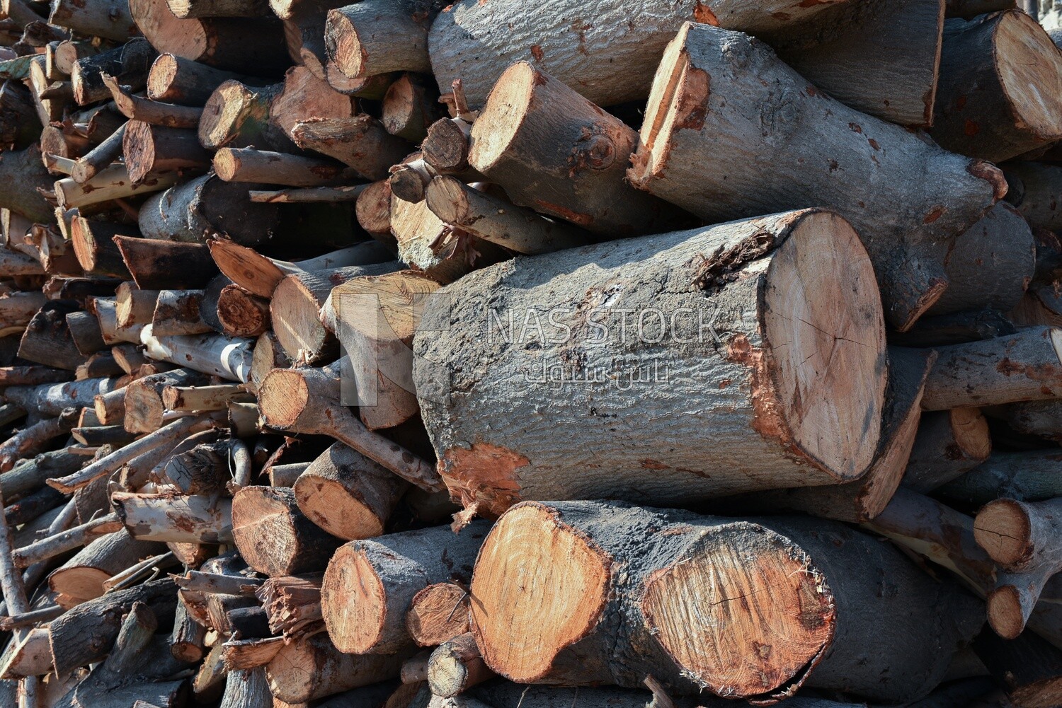 Group of thick wood