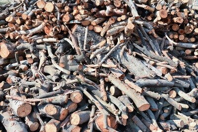 Group of thick wood