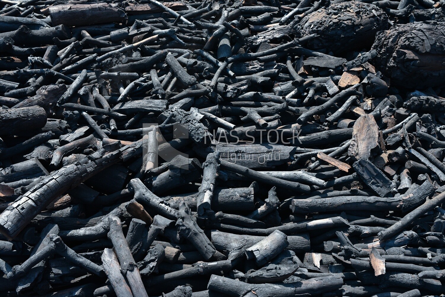 Group of burnt wood prepared and converted into charcoal