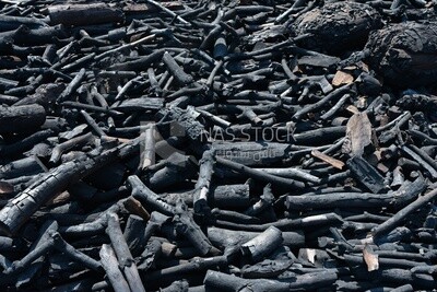 Group of burnt wood prepared and converted into charcoal