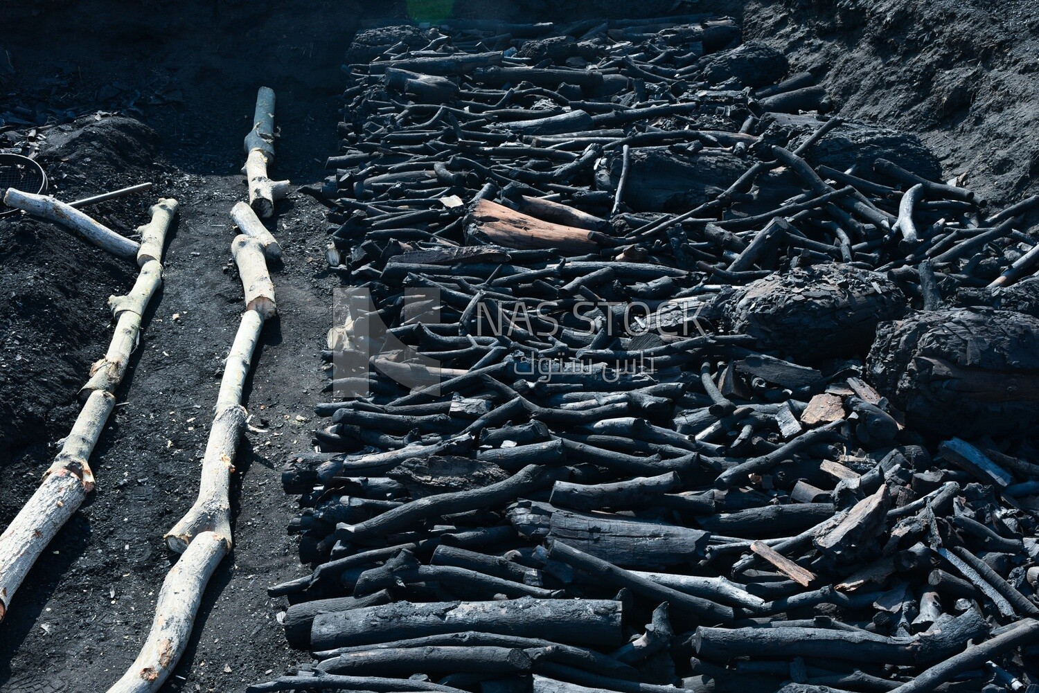 Group of burnt wood prepared and converted into charcoal