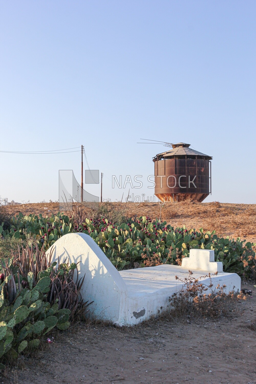 A scene of a group of tombs near the Nile River