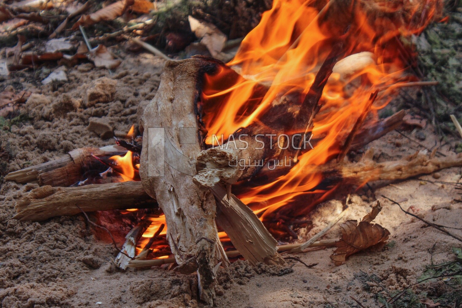 An orange flame of fire resulting from burning wooden branches