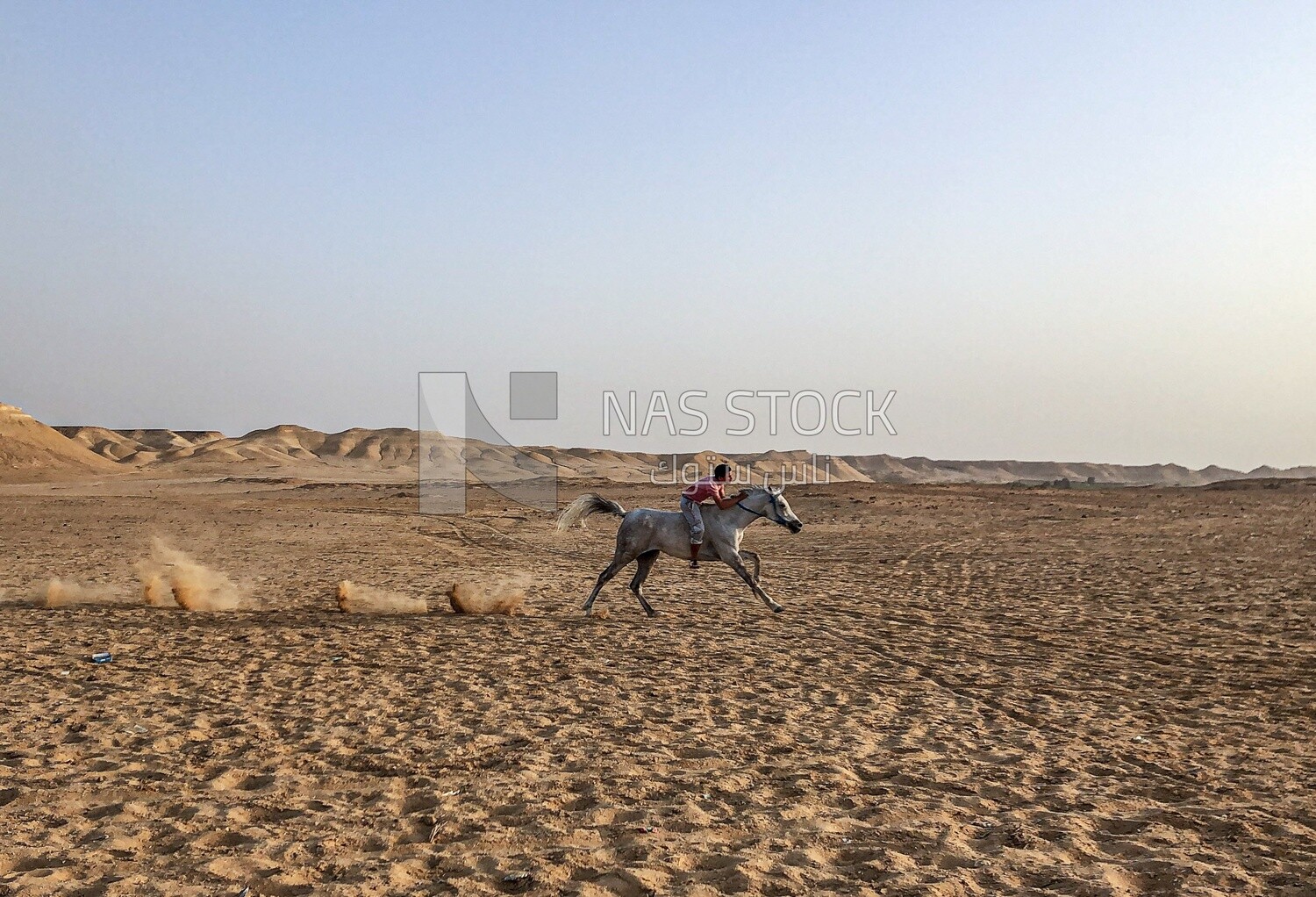 A young man rides a horse in the desert and runs at high speed