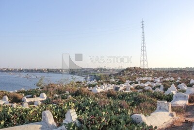 Group of tombs near the Nile River
