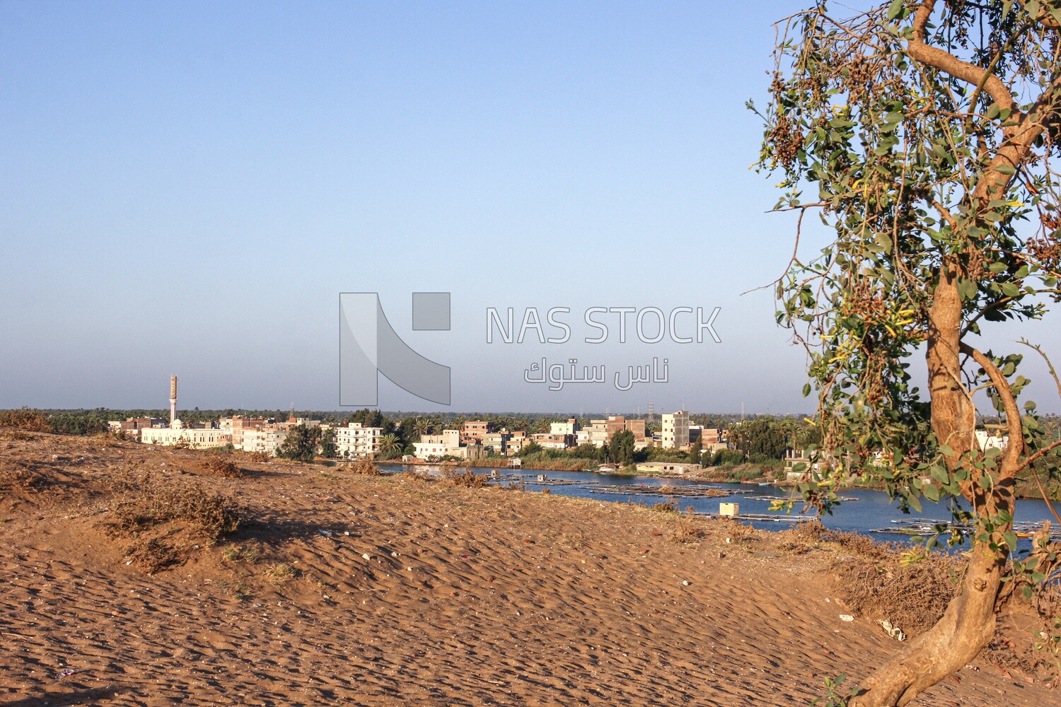A scene of a residential area overlooking the Nile