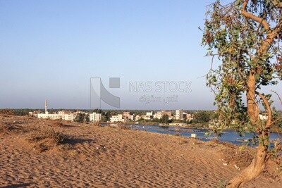 A scene of a residential area overlooking the Nile