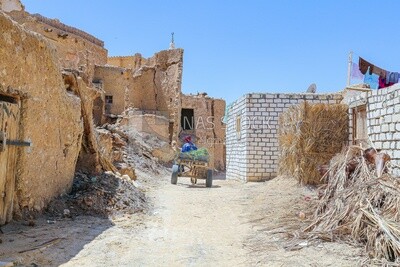Donkey cart running in one of the streets of Siwa